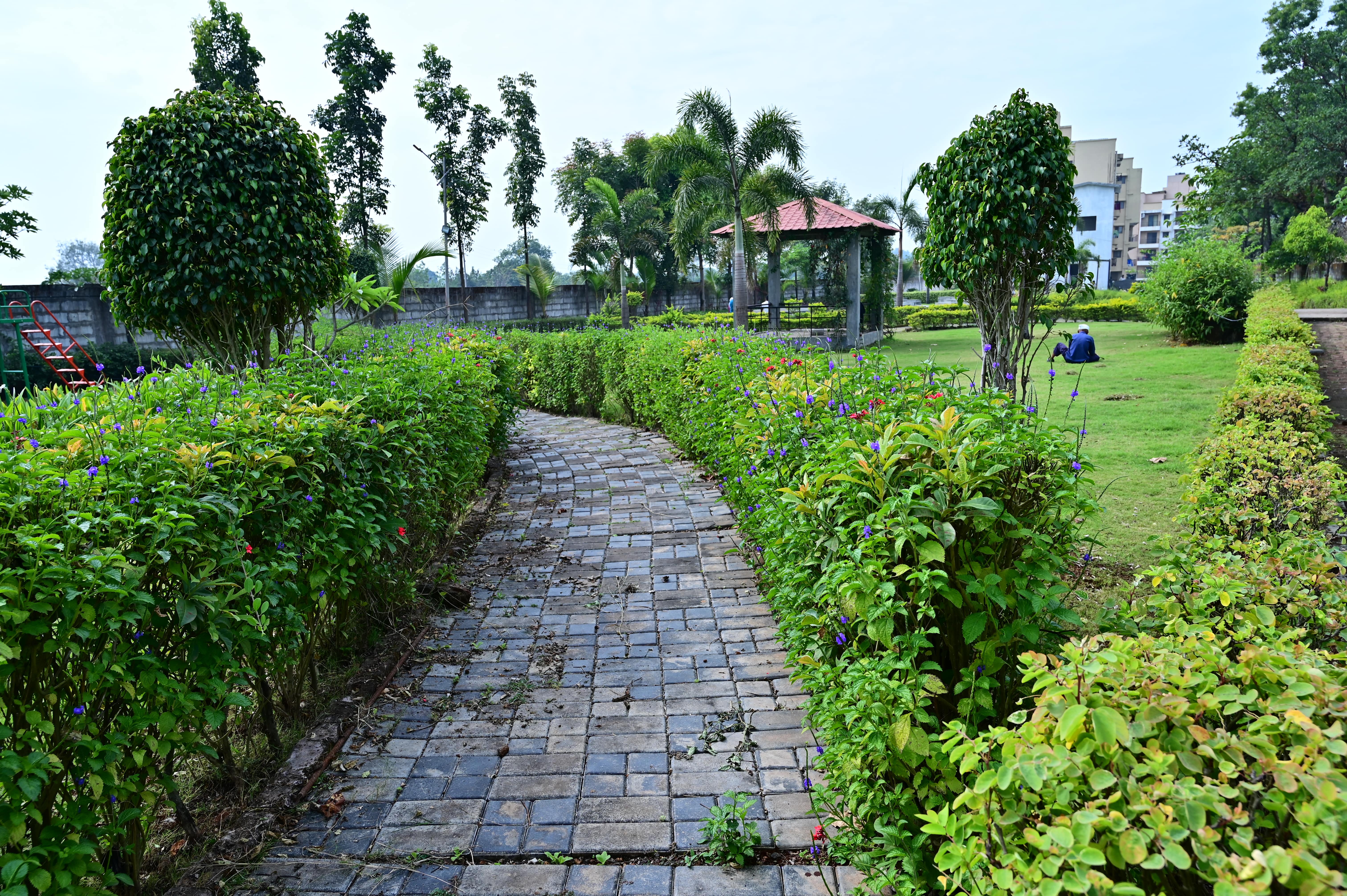Jogging Track image
